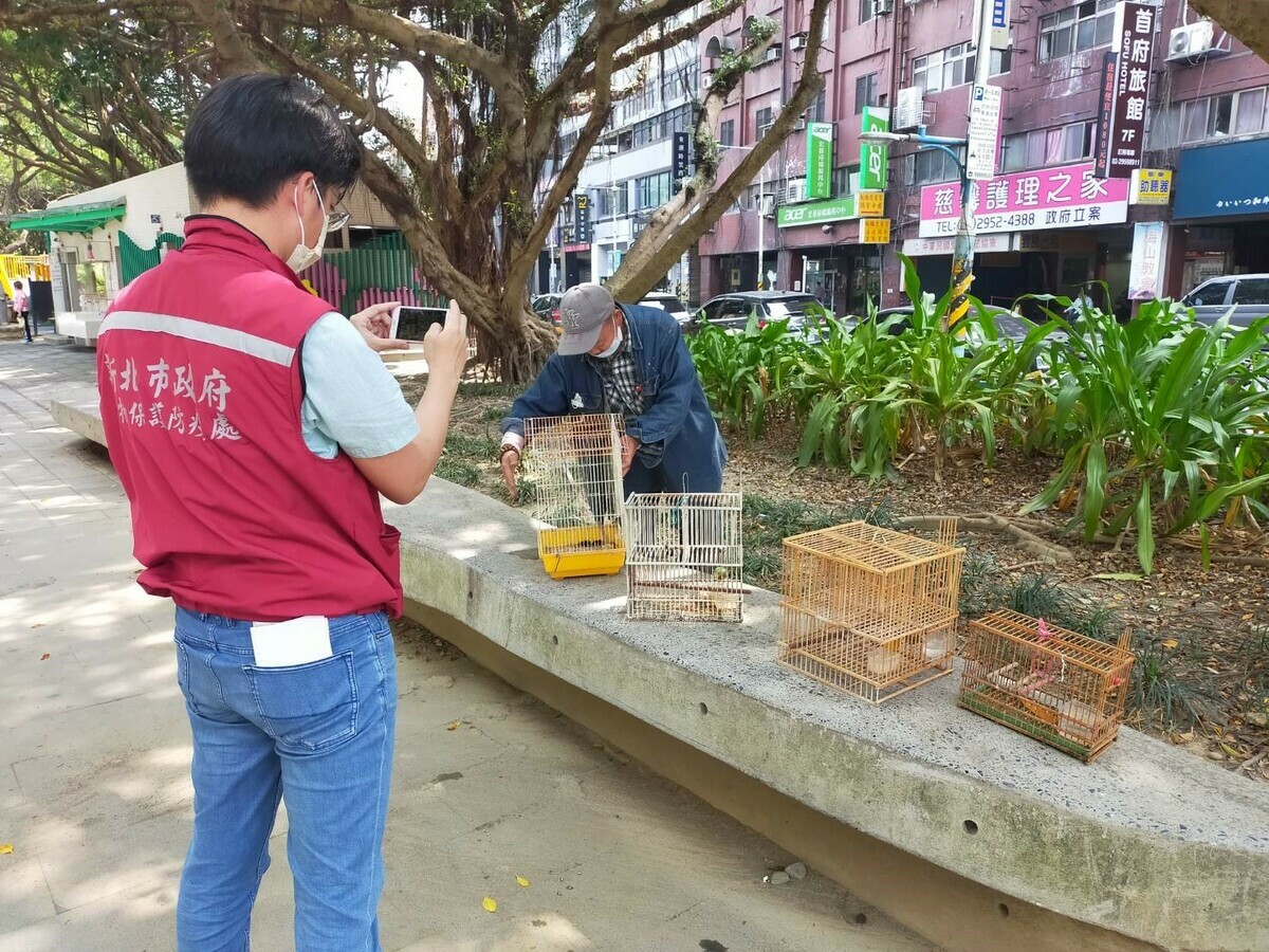 新北市動保處會同翁姓男子將非法誘捕的13隻綠繡眼，帶到公園野放。 圖：新北市動保處提供