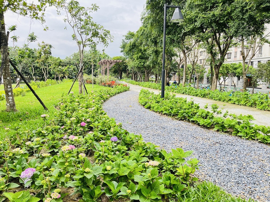 繡球花開啦！北大污水廠旁草花公園29日開放。 圖：新北市水利局提供