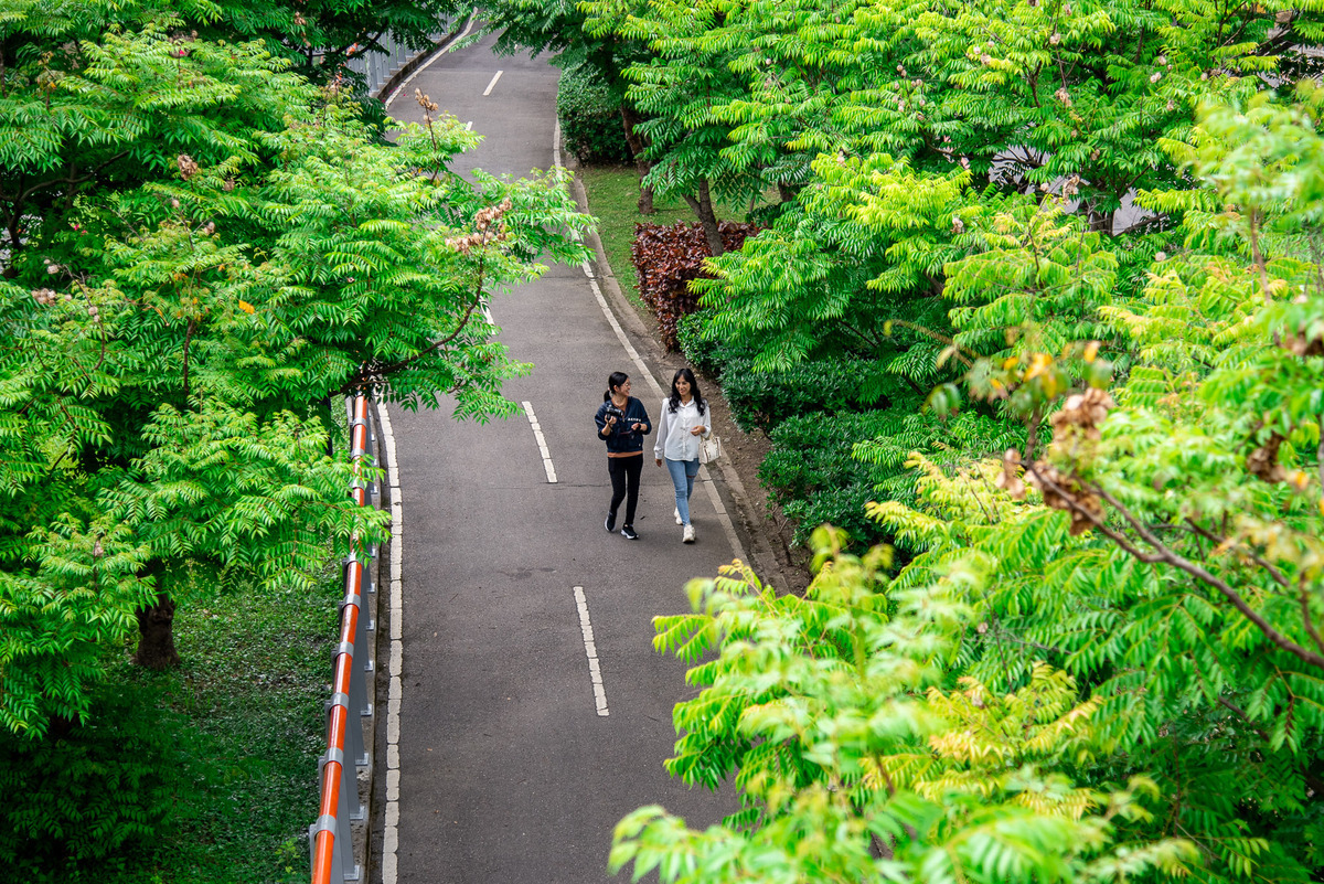 放慢腳步行走在滿是綠意盎然的河道旁。 圖：新北市水利局提供