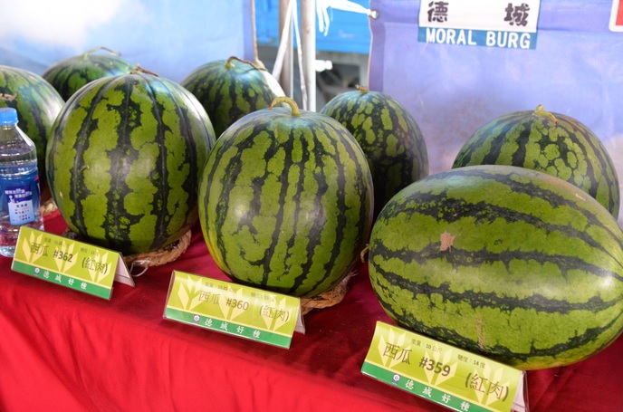 除了有免費西瓜可以品嚐外，還有不同品系的西瓜、南瓜、香瓜等實品展出，吸引民眾與農友目光。 圖:雲林縣政府提供