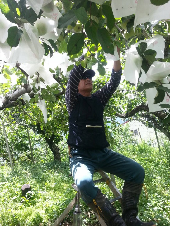 除了電玩以外，老蓋倫也非常喜歡栽種。 圖:老蓋倫「你不是最強的」提供