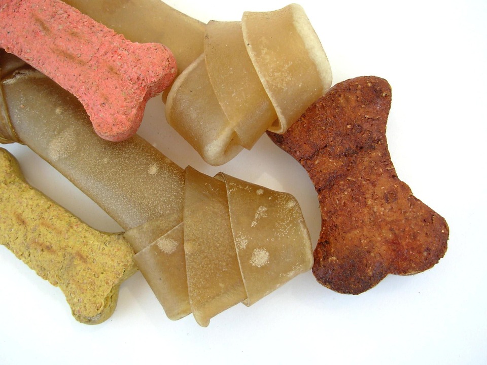 狗狗未食用完畢的乾糧，要馬上處理掉，不要直接放置原地。 圖：寵毛網petsmao資訊平台提供
