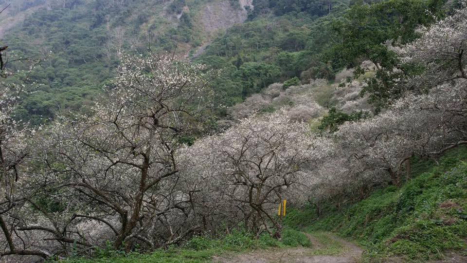 歷經八八風災後重建，目前茂林風景區已逐漸重建各個觀光景點，遊客可至此尋幽訪勝。 圖：翻攝自Fun心遊茂林臉書