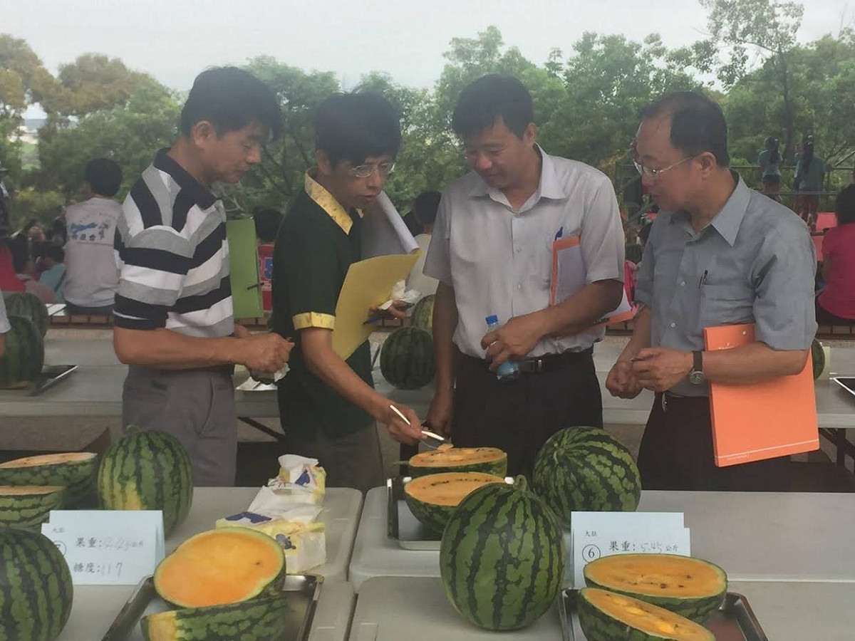 台中市農業局與龍井農會在龍井區竹坑南寮登山步道舉辦西瓜評鑑，並邀請民眾免費大啖西瓜。 圖：台中市農業局提供