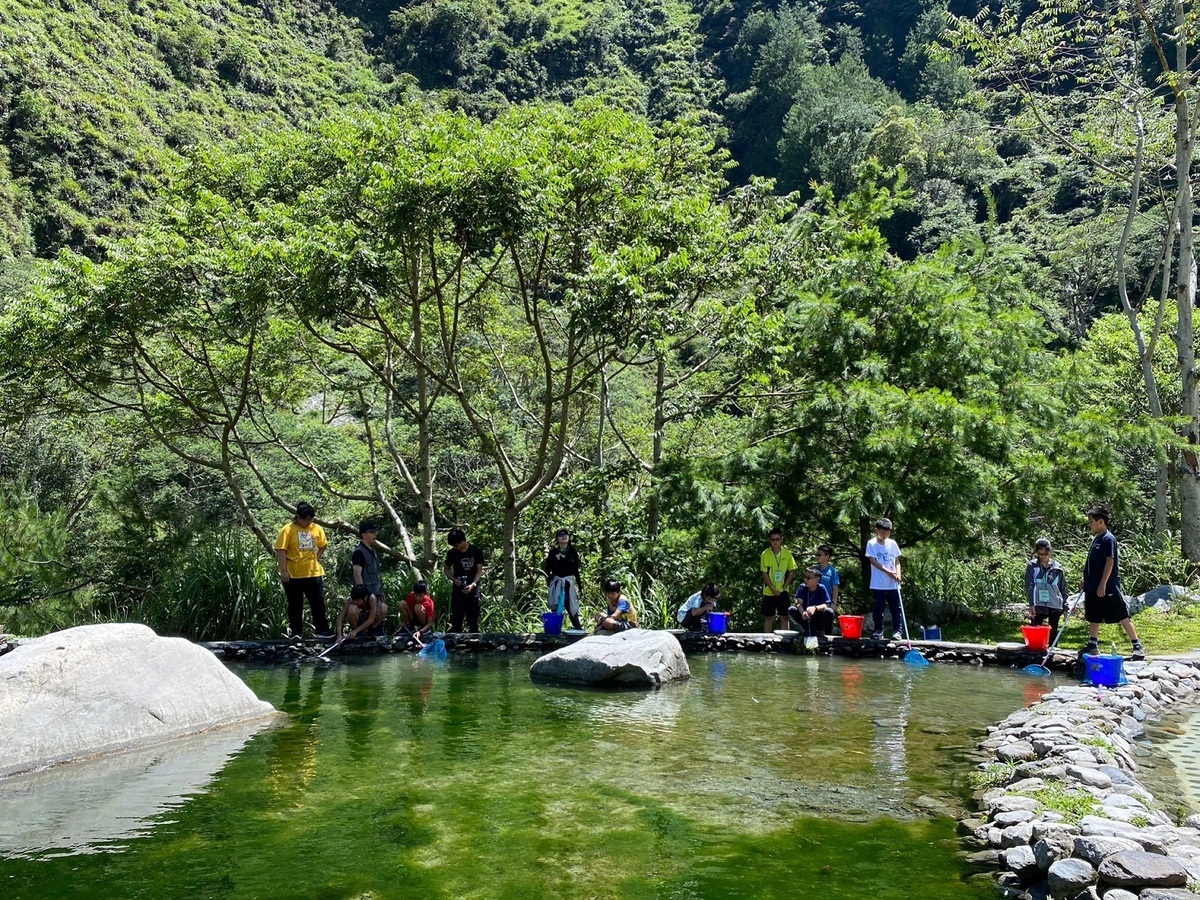 在水池邊尋找水中的生物。 圖：東勢林區管理處／提供
