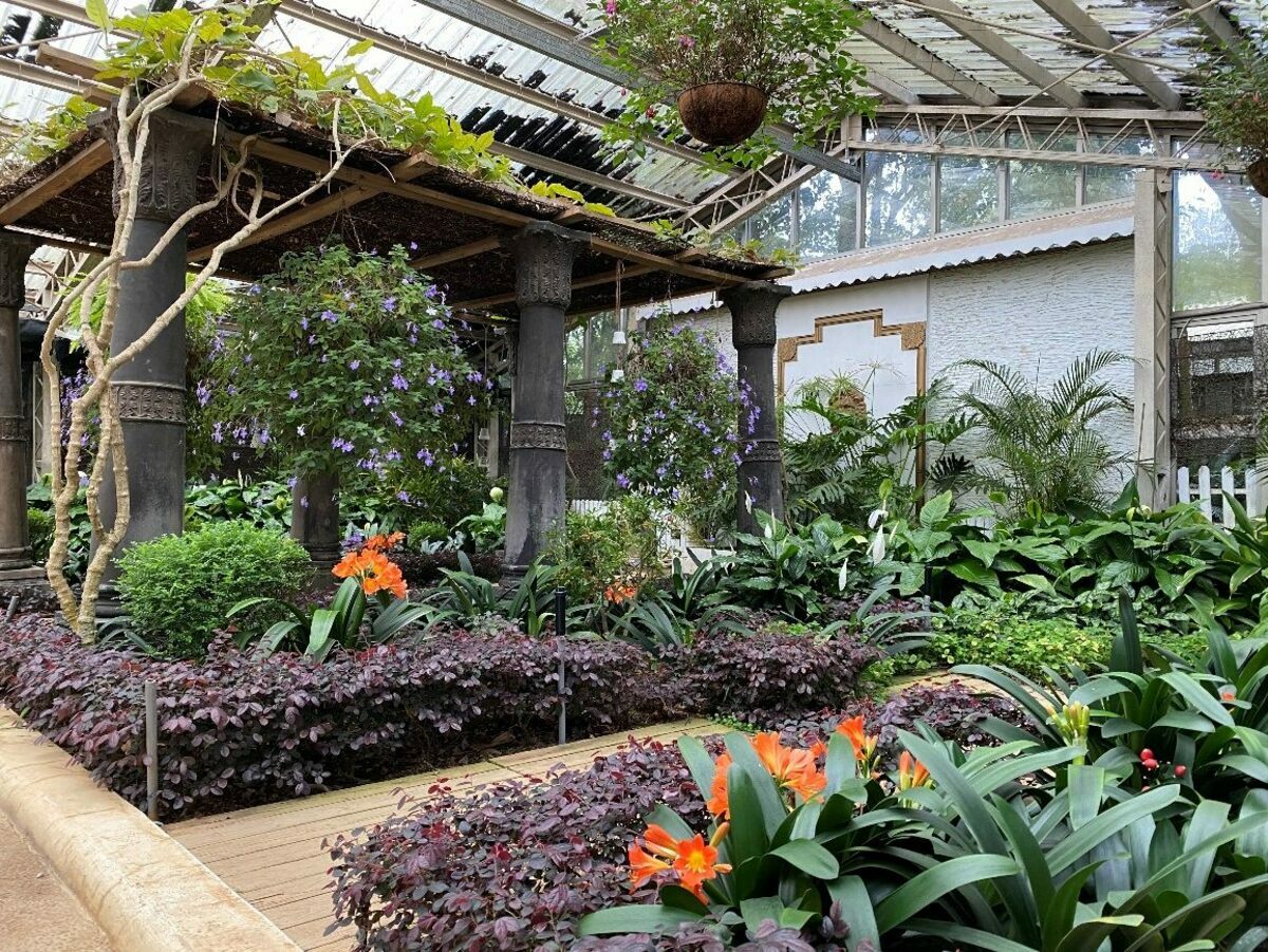 陽明山花卉試驗中心，將於5月10日至5月20日展出「球根花卉展」。 圖：翻攝自台北市政府工務局公園路燈工程管理處