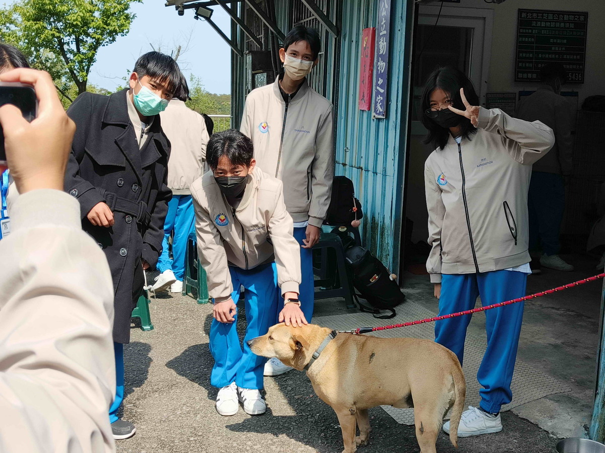 學童們開心地撫摸毛寶貝並互動玩耍。 圖﹕新北市動保處提供