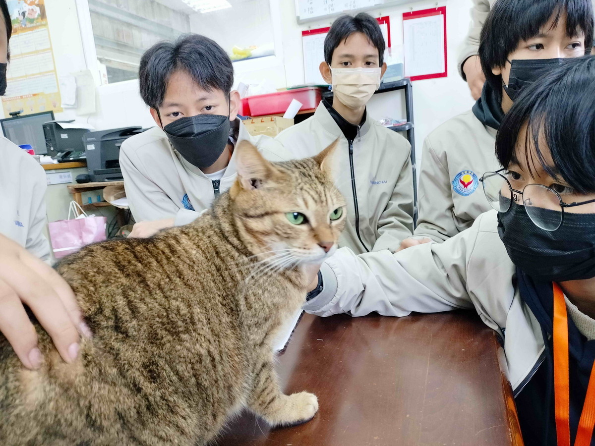 學童餵食可愛毛寶貝並擁抱牠們。 圖﹕新北市動保處提供