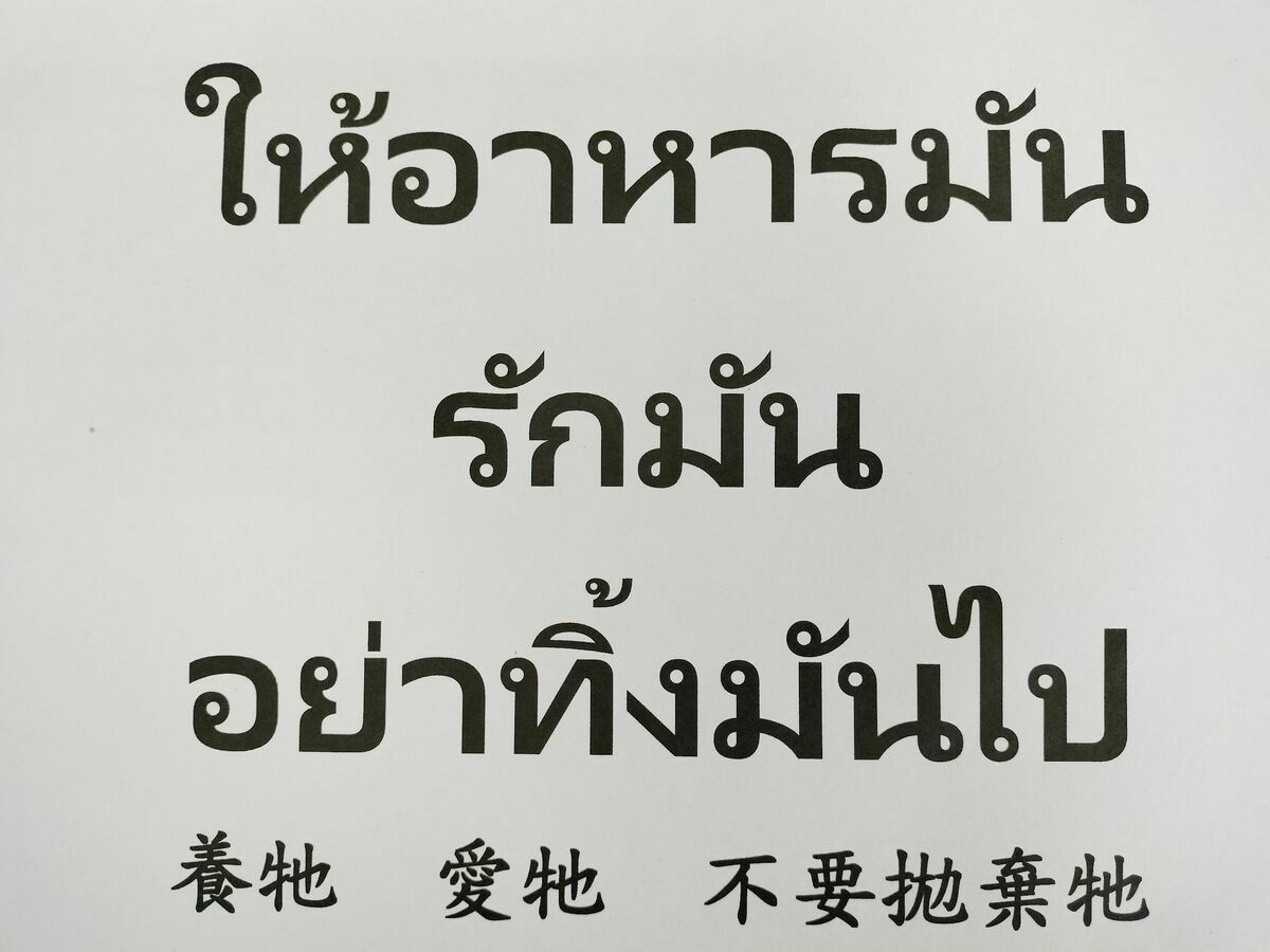 獸醫利用泰文手拿板與學童們互動教學。 圖﹕新北市動保處提供