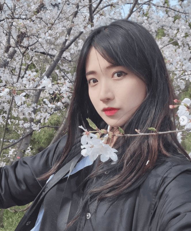 南韓知名實況主「企鵝妹」，昨日從竹北走到苗栗。 圖：翻攝自IG＠yyj0728