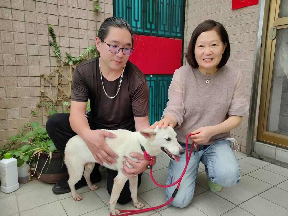 救援志工與飼主袁小姐（右）及白富美快樂合影。 圖：新北市動保處提供