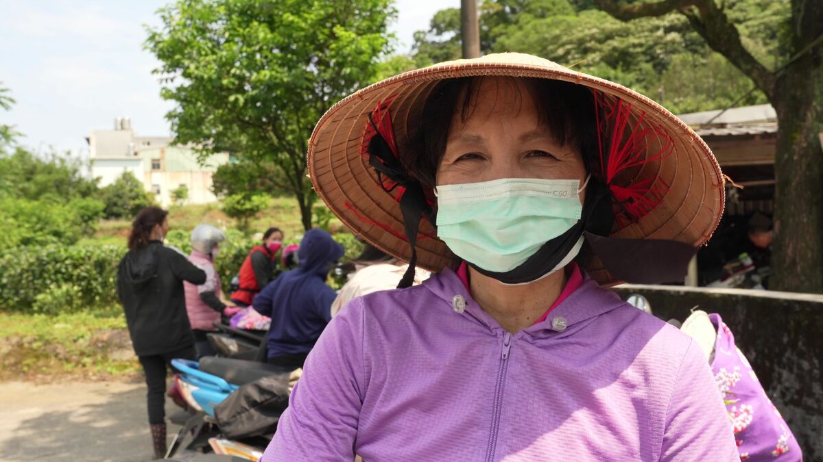 新住民黃火妹在茶園工作7年，肯定小粟手作茶葉的品質。 圖：新北市農業局提供
