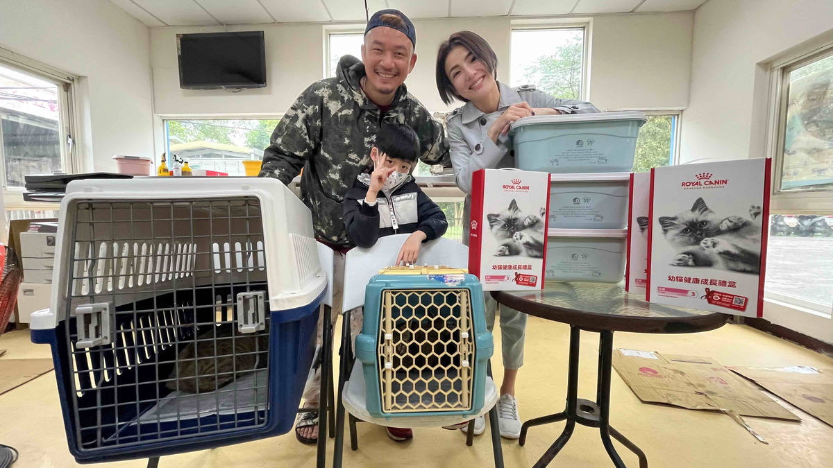 徐小可和阿Ben為了不讓母貓與小貓分開，決定認養這一家3口，給牠們一個溫暖的家。 圖：新北市動保處提供