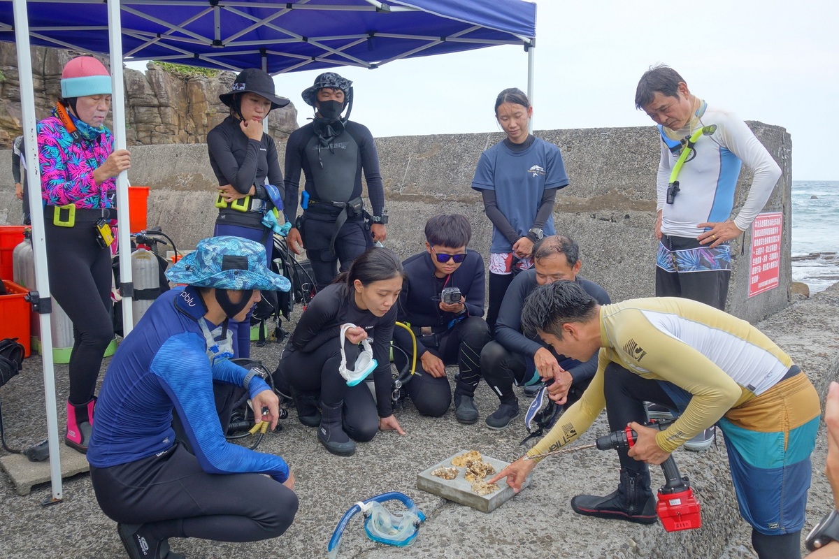 說明珊瑚移植的操作工具。 圖：新北市漁業處提供