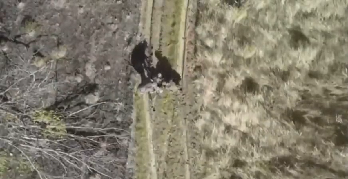 一名俄軍士兵被烏克蘭的無人機炸傷，而兩名同伴竟然搶走他的裝備，並直接逃跑。 圖：翻攝自方舟子推特