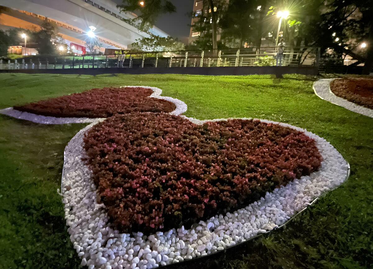 以鵝卵石及秋海棠排列愛心造型，襯托碧潭夜色，成為碧潭打卡新亮點。 圖：新北市觀旅局提供