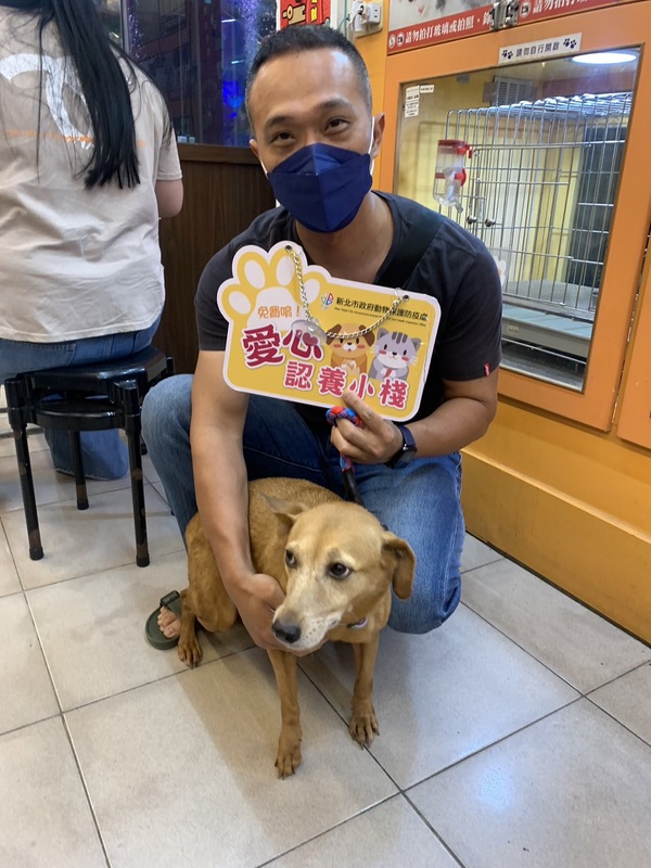 大頭找到愛牠的主人。 圖：新北市動保處提供
