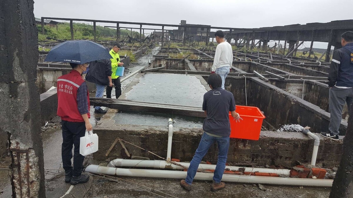 動保處會同保七刑大、中華鯨豚協會前往廢棄魚塭查緝。 圖：新北市動保處提供