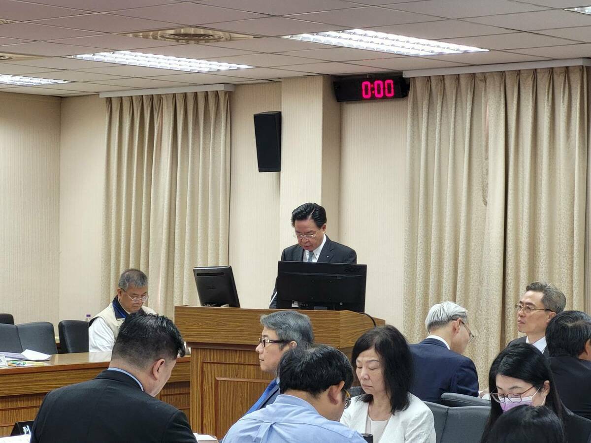 外交部長吳釗燮上午赴立法院外交及國防委員會。 圖：陳佩君／攝