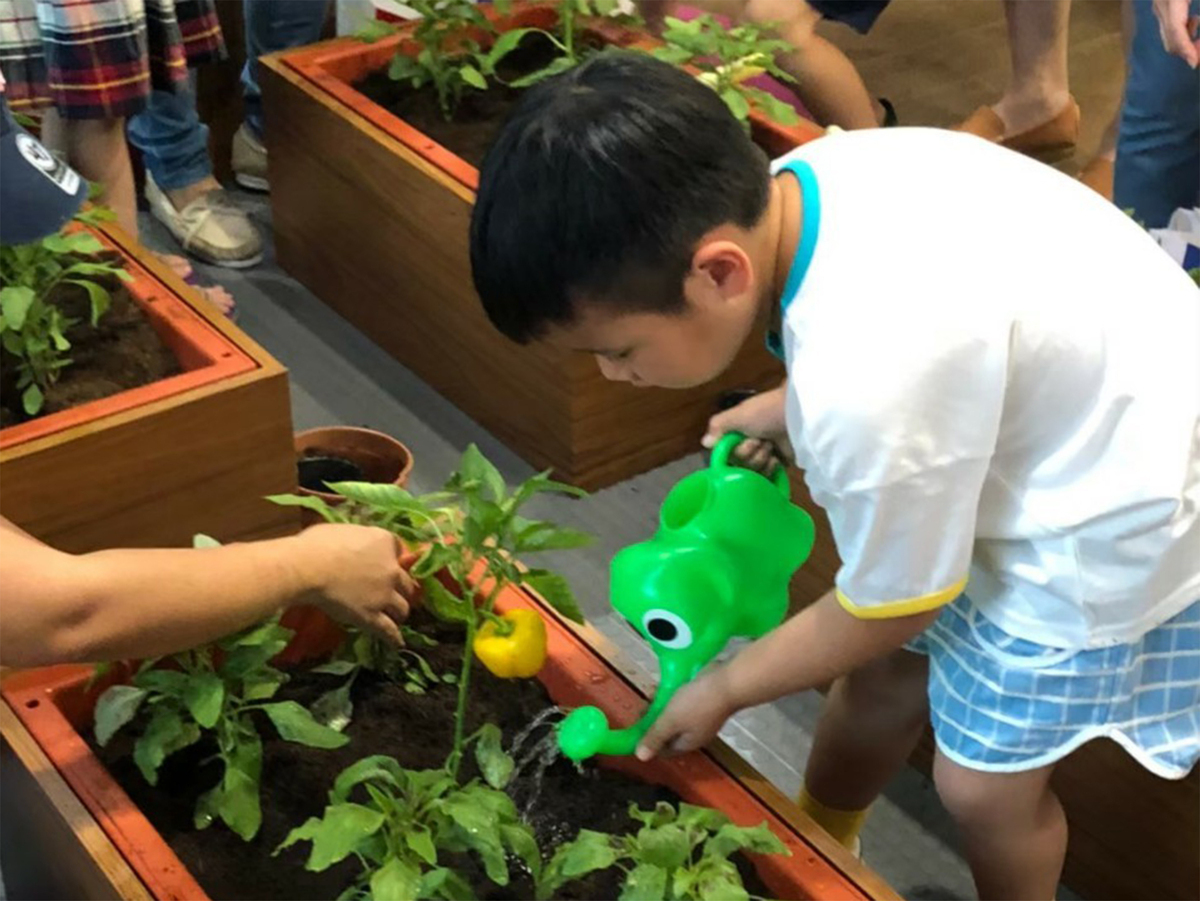 可食地景大人、小孩一起參與，享受種植的樂趣。 圖：新北市景觀處提供