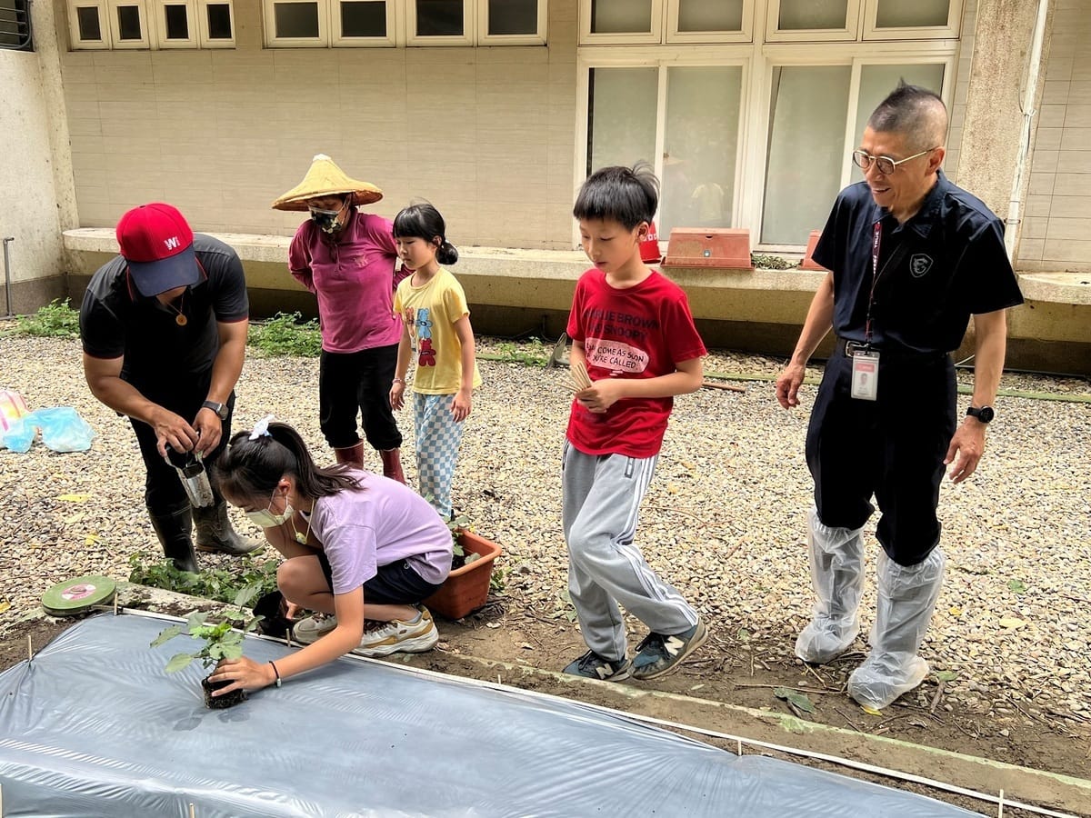 興福國小結合食農教育，學生從翻土開始種植蔬菜，學習對環境尊重與感恩。 圖：新北市教育局提供