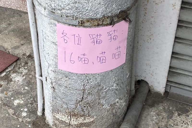 原PO在路邊電線桿看見一張寫著「貓語」的紙條。 圖／臉書社團《路上觀察學院》