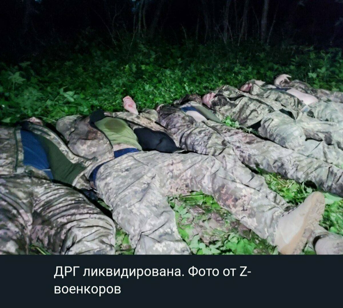 俄羅斯公開資料宣稱已經全數殲滅俄羅斯自由軍團。 圖：翻攝自推特