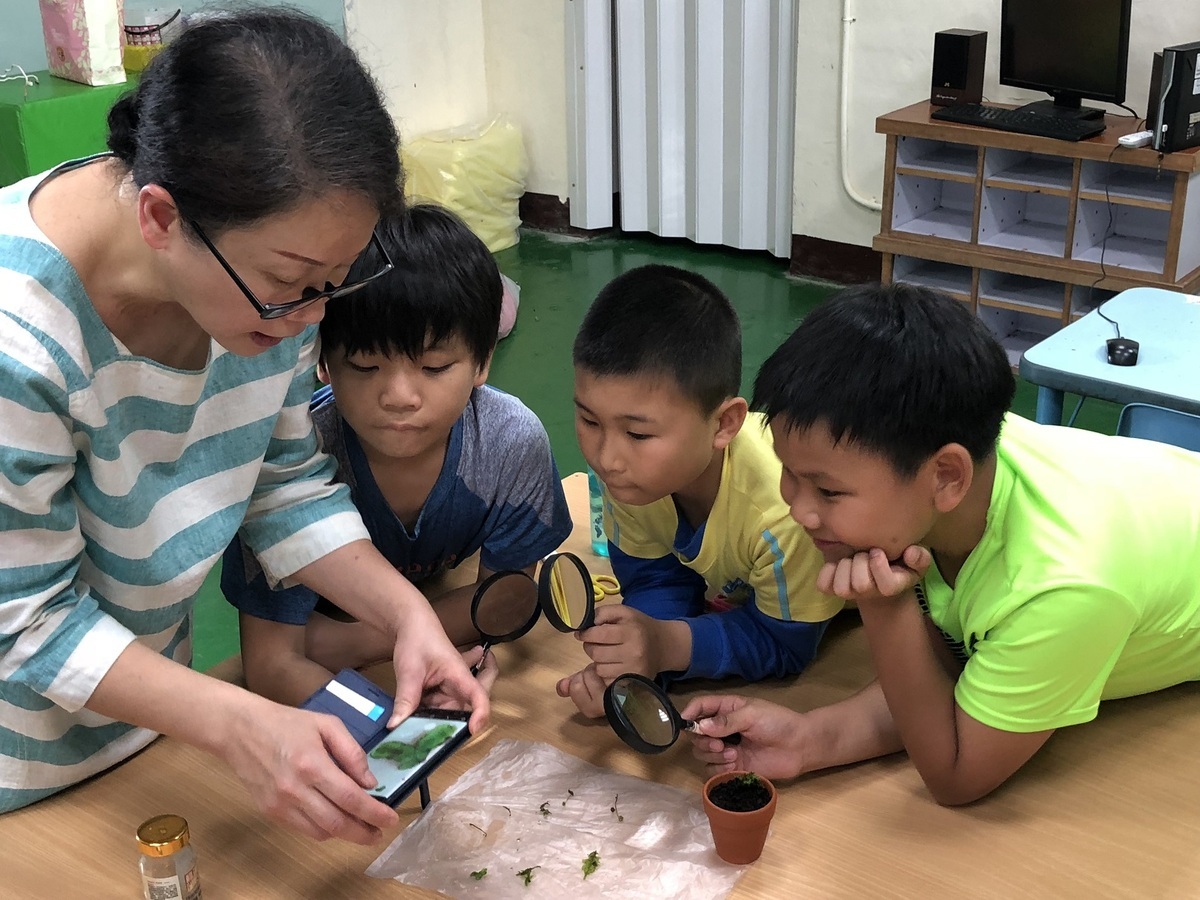 平溪國小「苔可愛」課程，自然課用放大鏡觀察苔蘚的形狀。 圖：新北市教育局提供