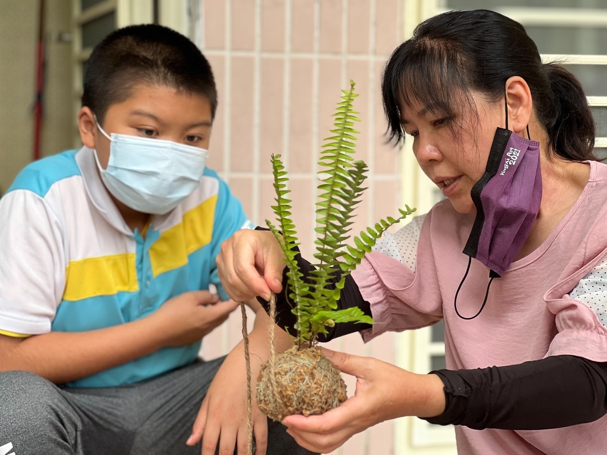 「水苔球」植栽人見人愛，平溪國小激發學生美感素養，擴大思考苔蘚植物在生活美學的應用。 圖：新北市教育局提供
