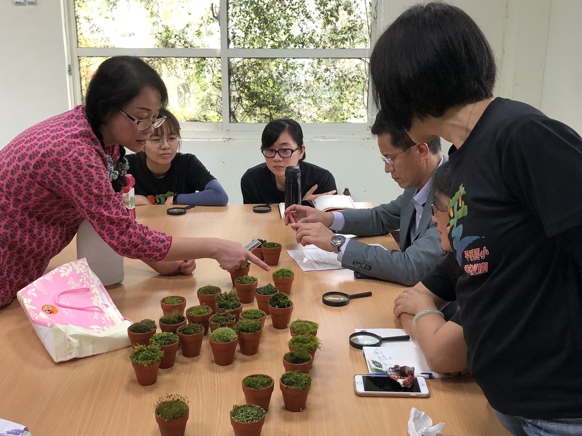 平溪國小教師團隊用心於課程開發，並進行社群研討「苔可愛」課程模組。 圖：新北市教育局提供