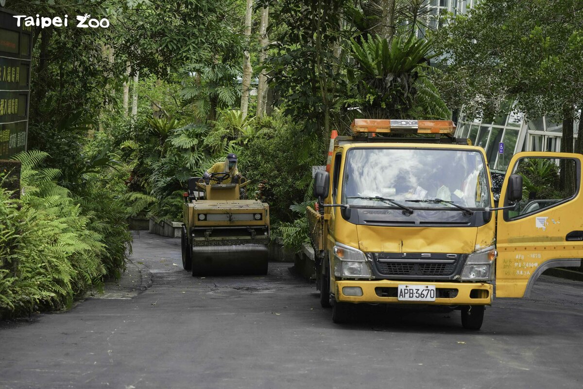 不對外開放10天中，園方將補強動物的照養環境、建物外觀與遊客休憩設施。 圖：台北市立動物園／提供