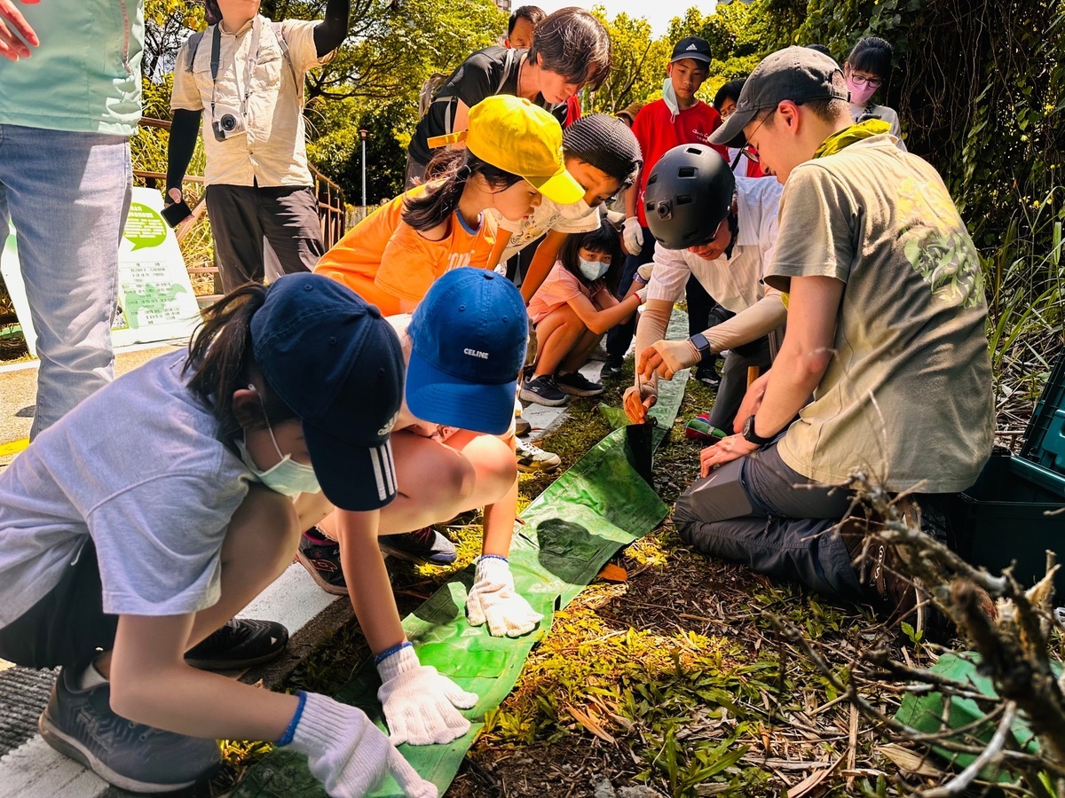 由荒野志工率領淡水區竹圍國小師生、民眾，共同將可拆卸活動帆布設置於自行車道兩側。 圖：新北市高灘地工程管理處提供