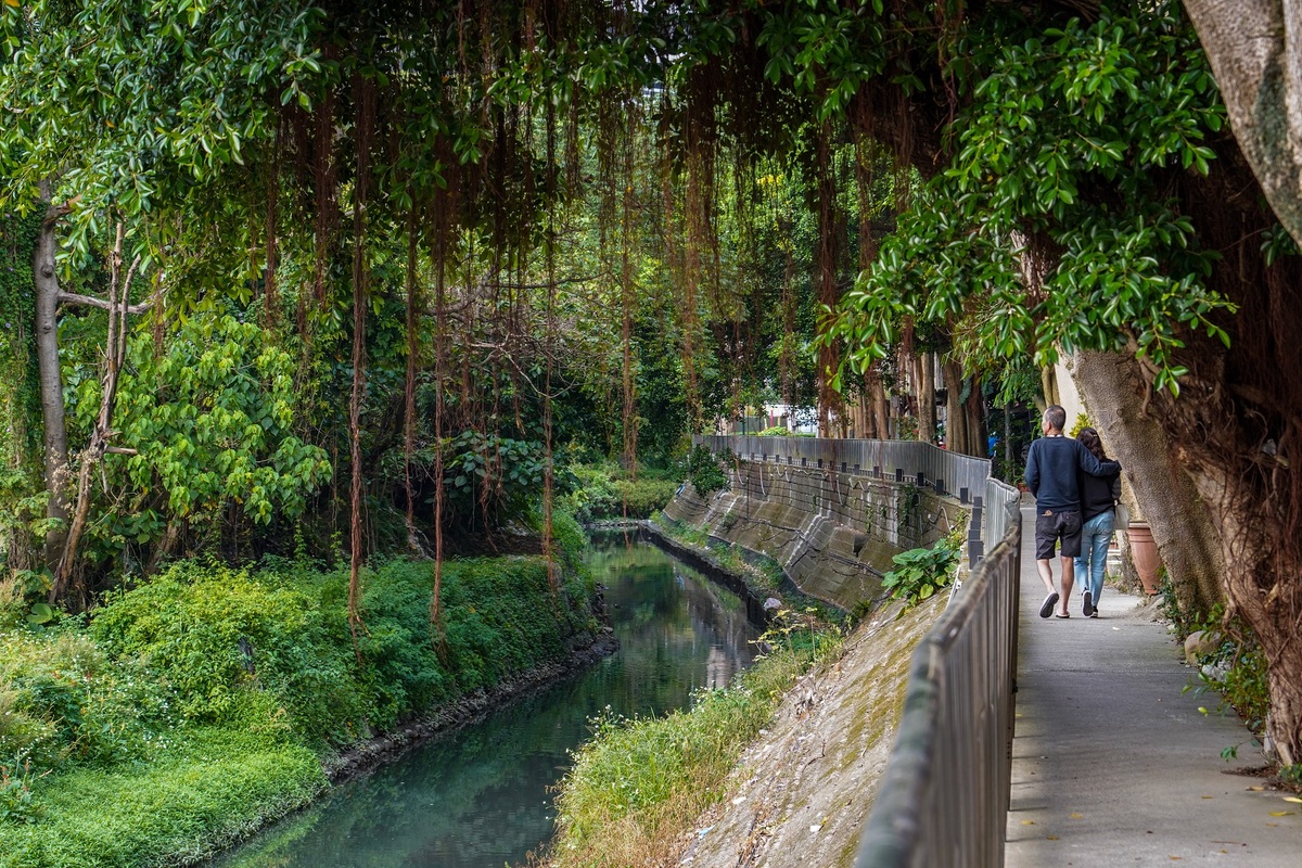 清澈的河道與綠意盎然河岸步道串聯蝴蝶生態園區是傍晚時分在地居民的最佳休憩點。 圖：新北市水利局提供