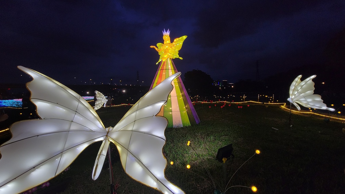 夜晚散發神秘氣息的蝴蝶女神。 圖：新北市高灘處提供