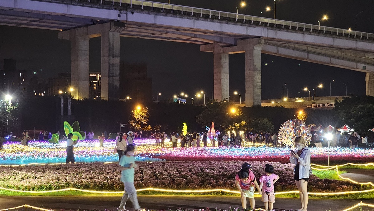感受夜晚花海及光海美景。 圖：新北市高灘處提供