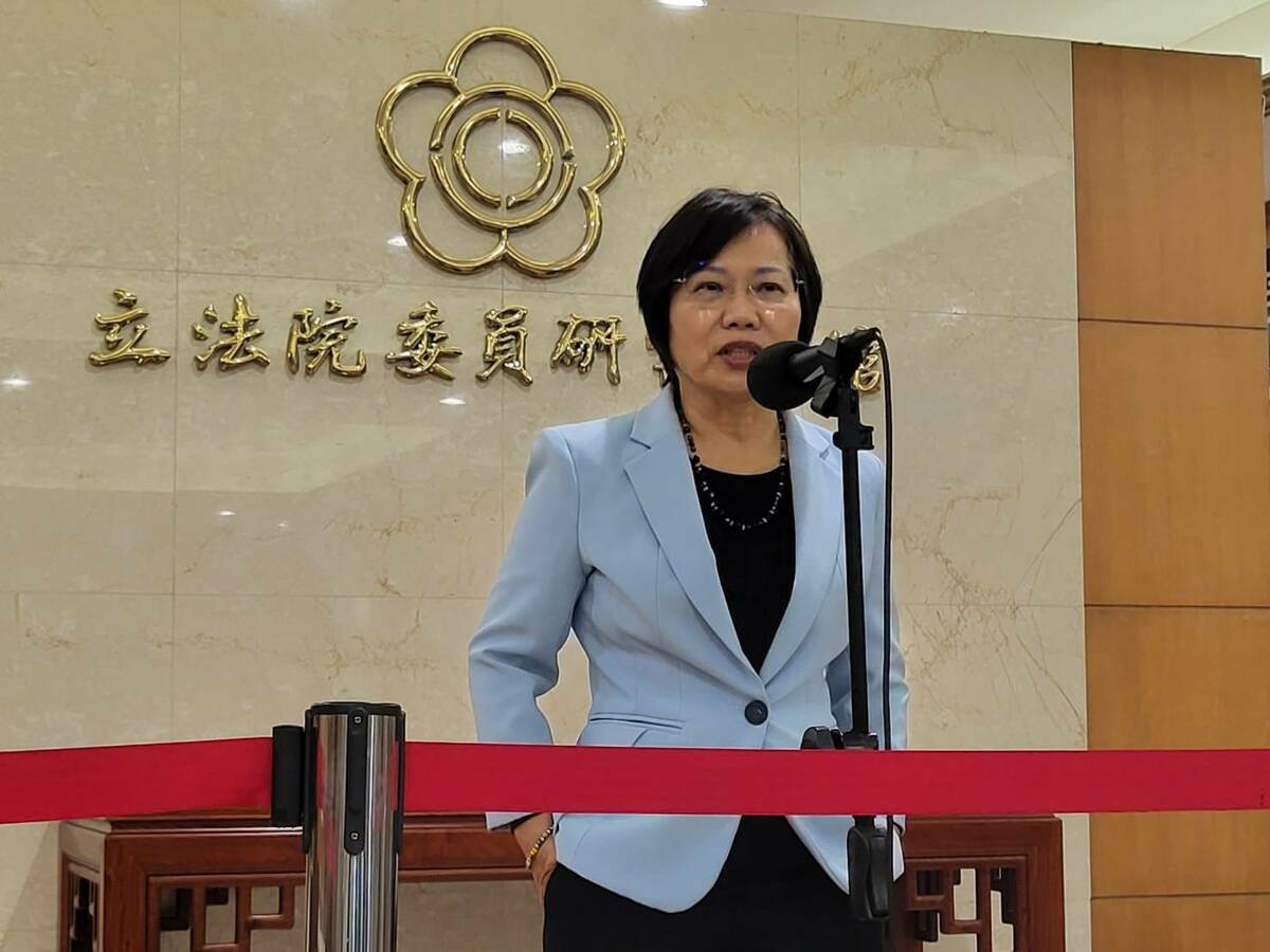 民進黨立委劉世芳上午接受媒體訪問。 圖:陳佩君/攝