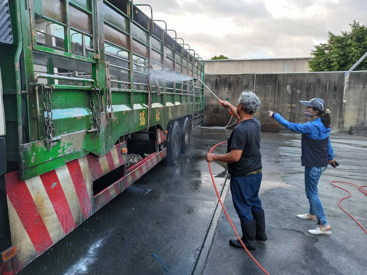 防疫人員協助督導運送家禽及蛋品的車輛。 圖：新北市保處提供