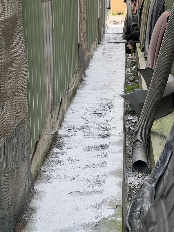 撒佈生石灰在禽場外圍與人員進出走道等防疫防線最弱的地方。 圖：新北市保處提供