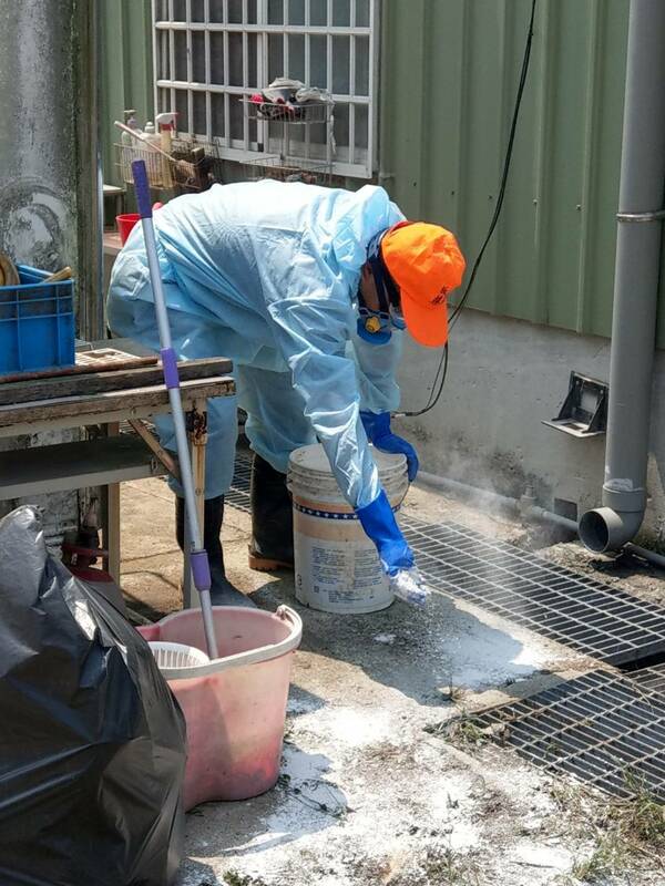 生石灰消毒施做需穿戴好防護衣、手套及口罩。 圖：新北市保處提供