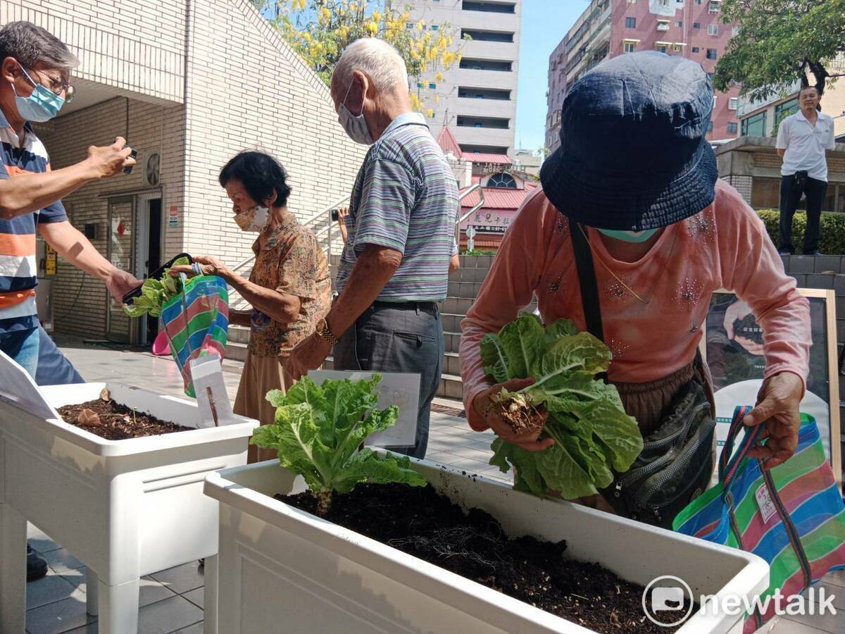 長輩採收親手種植的農作物。 圖：孫家銘攝