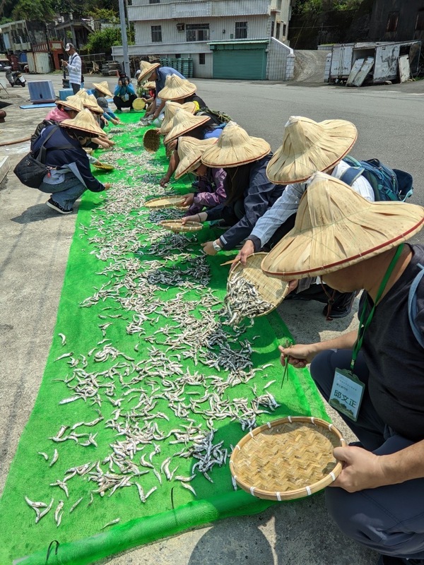 曬魚乾體驗。 圖：蹦火漁業合作社提供