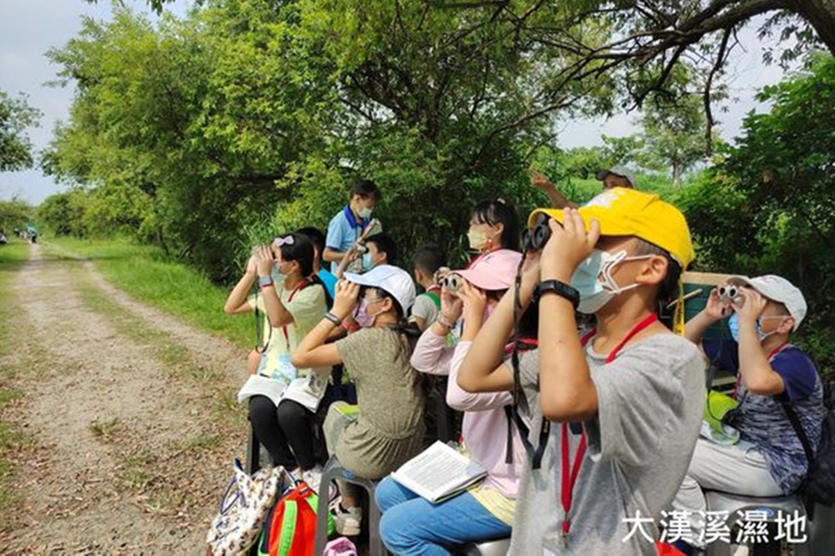 觀察濕地裡的鳥。 圖：新北市高灘處提供