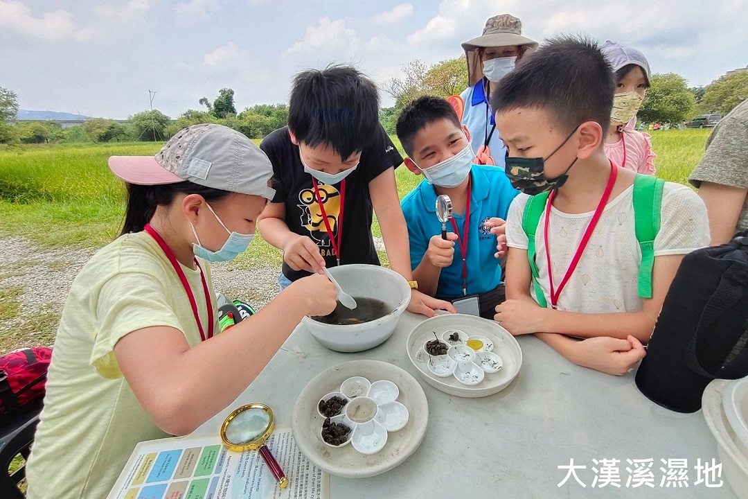 濕地水棲大驚奇課程。 圖：新北市高灘處提供