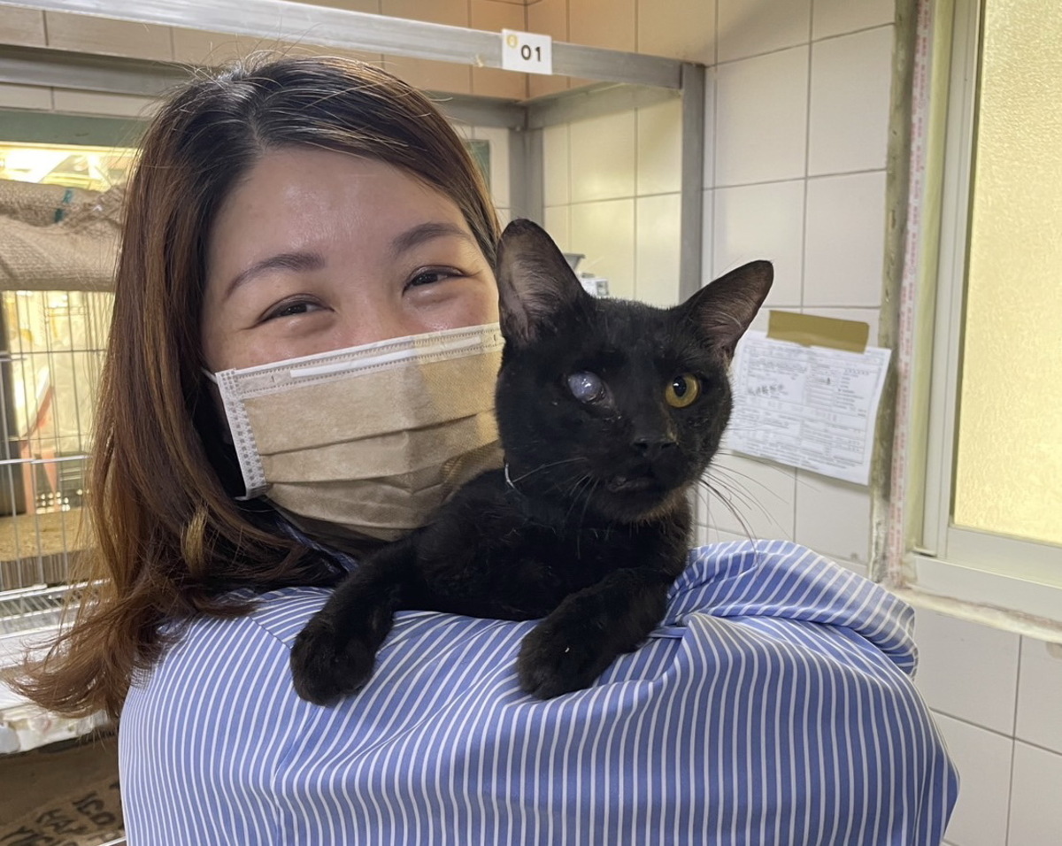 認養人孫太太親密地與小黑貓互動。 圖：新北市動保處提供