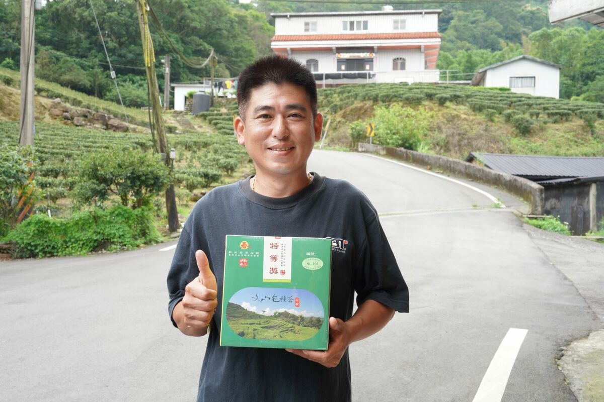 即將到來的夏天推薦以冷泡方式喝包種茶。 圖：新北市農業局提供
