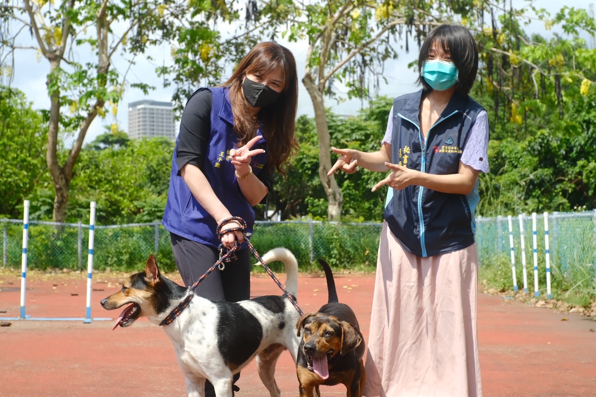 開心進行遛狗初體驗。 圖：新北市動保處提供