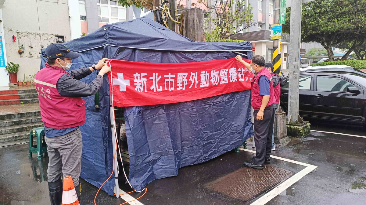 新北市動保處動保員合力建置野外動物醫療站。 圖：新北市動保處提供