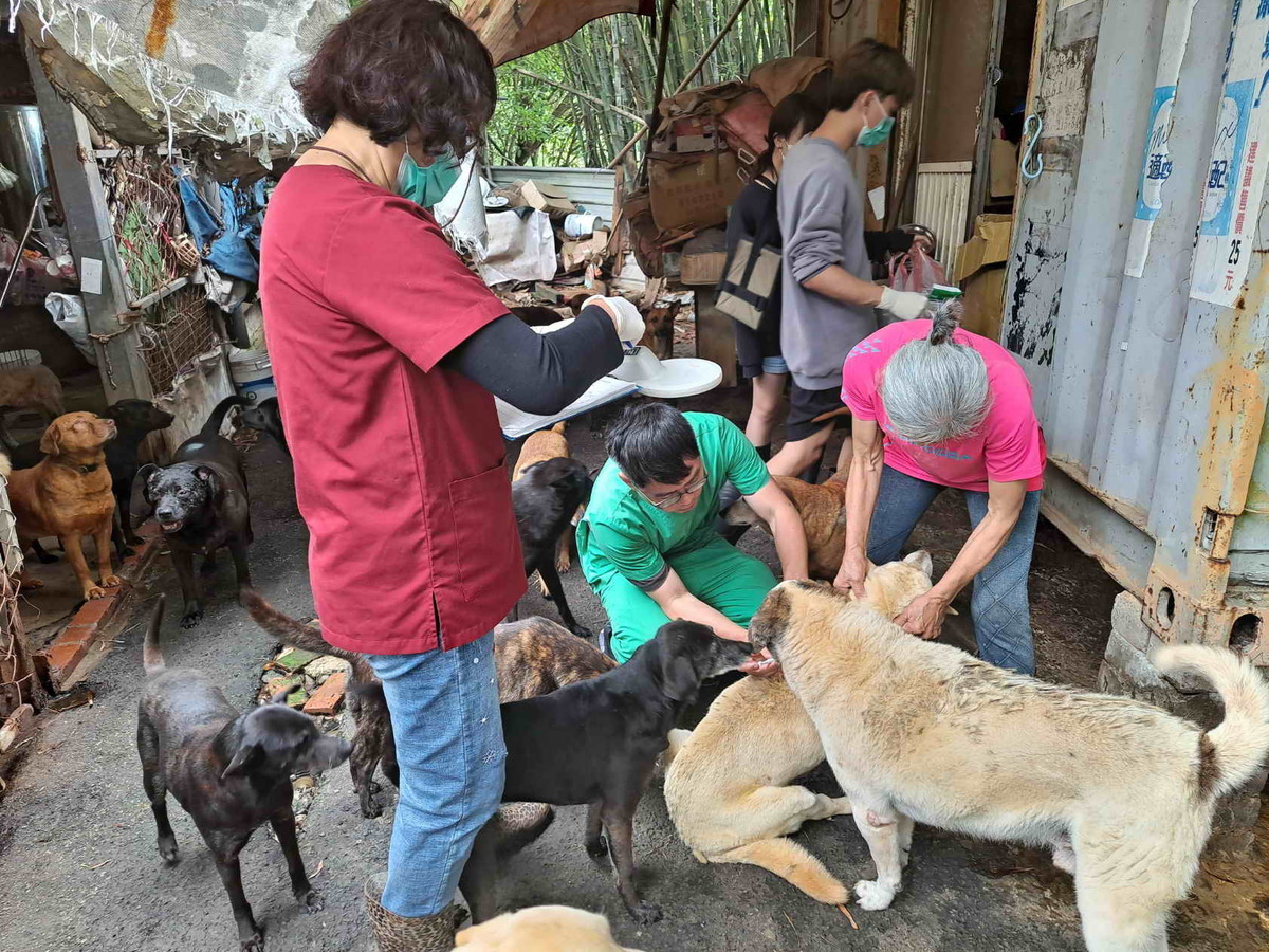 民間動物收容所清查造冊。 圖：新北市動保處提供