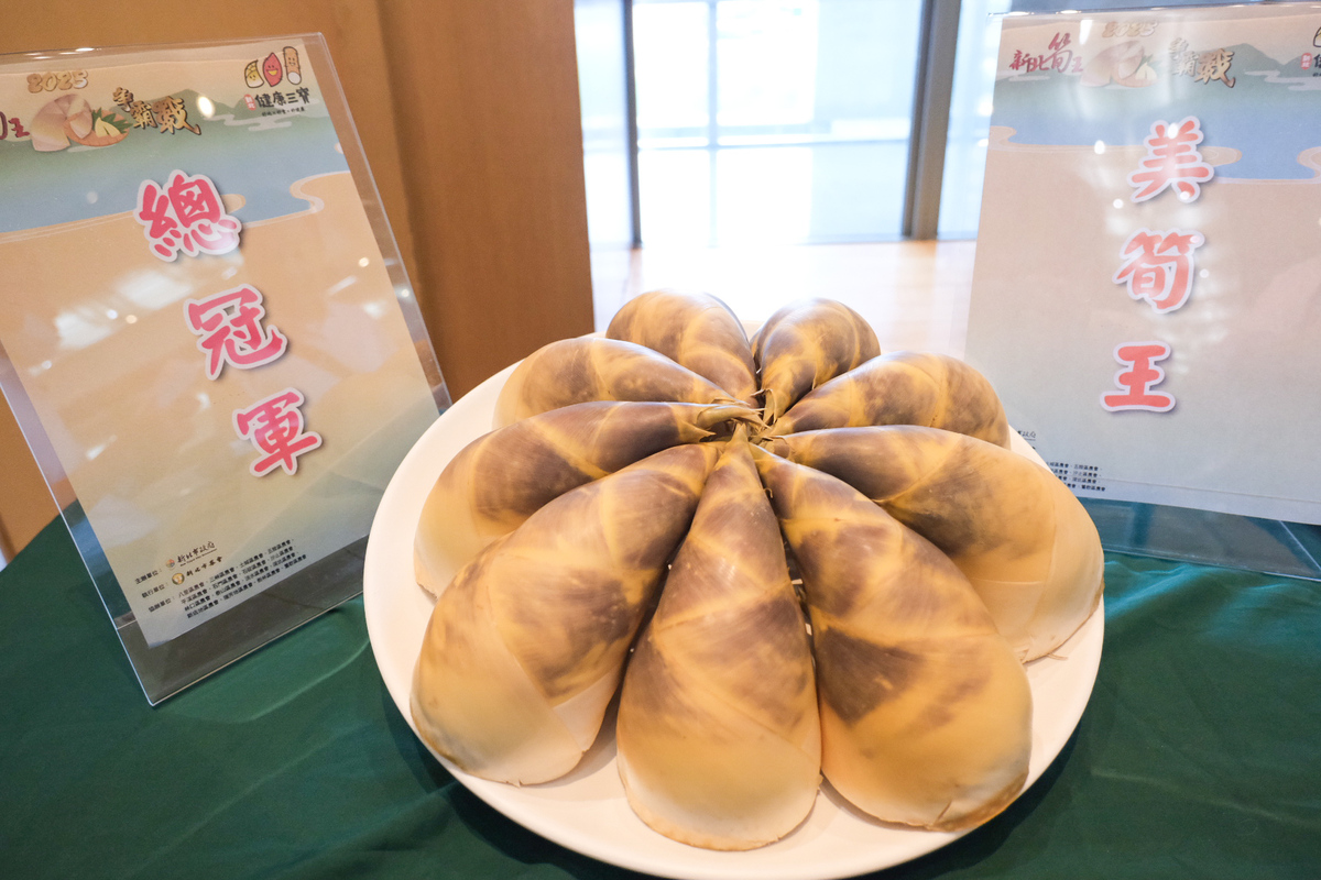此屆雙冠王「新北筍王」及「美筍王」得主為新店區張慶隆，圖為冠軍筍。 圖：新北市農業局提供