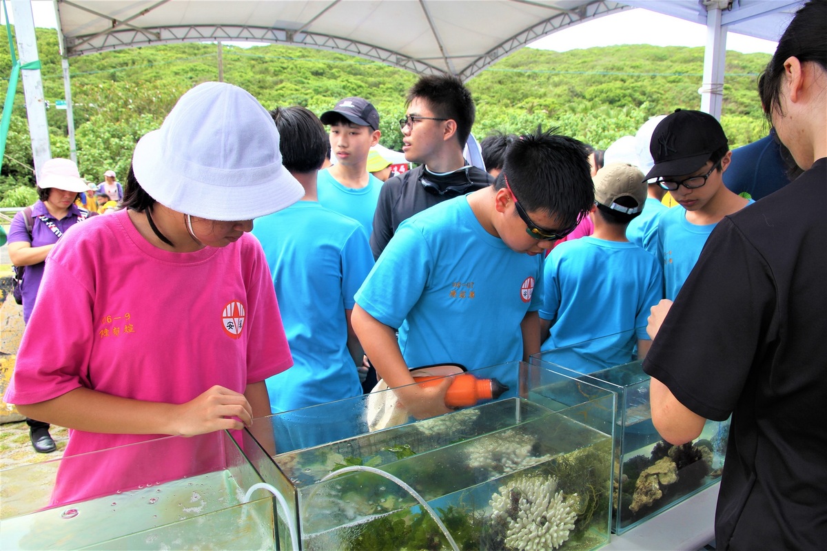 潮間帶生物的介紹、展示和體驗。 圖：新北市漁業處提供